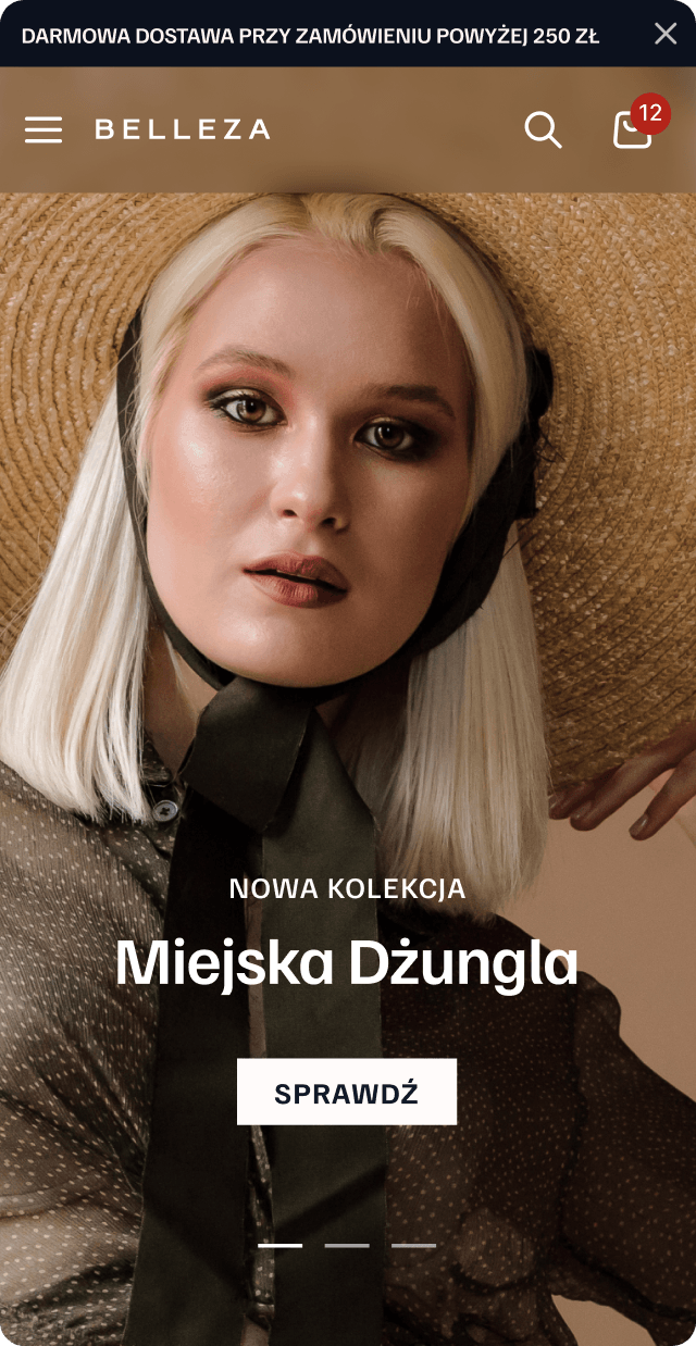 Szablon sklepu internetowego